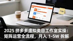 2025 拼多多虚拟类目工作室实操：矩阵运营全流程，月入 1-5W 拆解-网创项目总站