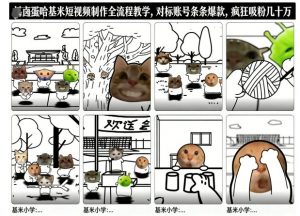 卤蛋哈基米短视频制作全流程教学，条条爆款，疯狂吸粉几十万-网创项目总站