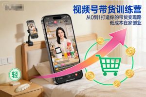 视频号带货训练营，从0到1打造你的带货变现路，低成本在家创业-网创项目总站