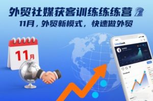 外贸社媒获客训练营11月，外贸新模式，快速做外贸-网创项目总站
