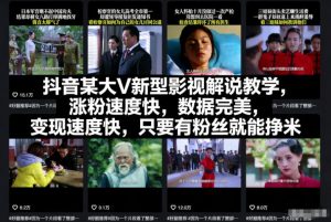 抖音某大V新型影视解说教学，涨粉速度快，数据完美，变现速度快，只要有粉丝就能挣米-网创项目总站