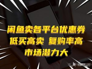 闲鱼卖各平台优惠券，低买高卖，复购率高，市场潜力大-网创项目总站