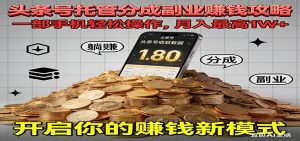 全程托管今日头条，一部手机就可以开干，最高躺赚1W+-网创项目总站