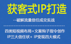 获客型IP打造，破解流量信任成，四类短视频布局+文案钩子指令创作IP三大信任状+IP变现四大模式-网创项目总站