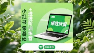小红书零基础+高阶训练营：安全养号、爆款拆解、长效运营，实现稳定涨粉与变现-网创项目总站