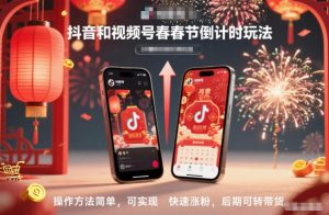 抖音和视频号，春节倒计时玩法，操作方法简单，可实现快速涨粉，后期可转带货-网创项目总站