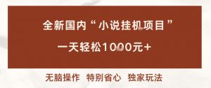 全新国内小说挂G项目，多窗口无脑跑，一天轻松1k+，特别省心【揭秘】-网创项目总站