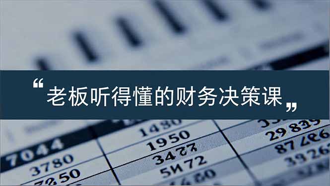 老板能听得懂的财务决策课，报表解读、数据洞察、风险识别，用财务驱动业务增长-网创项目总站