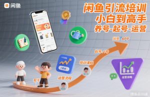 闲鱼引流培训，小白到高手，养号-起号-运营-网创项目总站