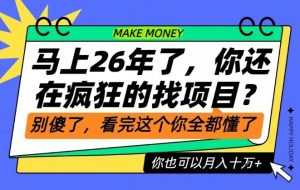 26年了，不要再疯狂的找项目了，看完这个你也可以月入十个W【揭秘】-网创项目总站