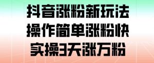 抖音涨粉新玩法，操作简单涨粉快，实操3天涨万粉-网创项目总站