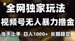 年底最新独家视频号无人直播撸礼物，小白也能轻松日入1k+，长期稳定，可批量复制【揭秘】-网创项目总站