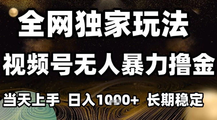 年底最新独家视频号无人直播撸礼物，小白也能轻松日入1k+，长期稳定，可批量复制【揭秘】-网创项目总站