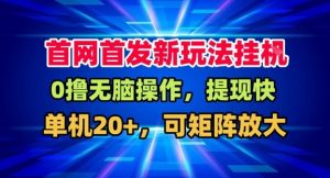 全网首发挂G，盒子自动賺米，单机20+，可矩阵放大，长期稳定运营【揭秘】-网创项目总站