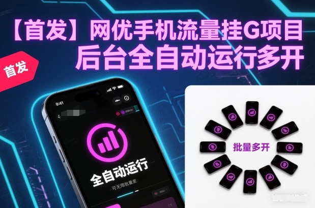 【首发】网优手机流量挂G项目，后台全自动运行，可无限批量多开【揭秘】-网创项目总站
