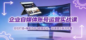 企业自媒体账号运营实战课：定位打造+ 爆款内容+数据优化，快速提升账号权重-网创项目总站