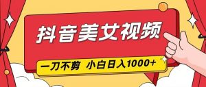 抖音美女视频，一刀不剪，两分钟一条视频，小白轻松上手，日入1000-网创项目总站