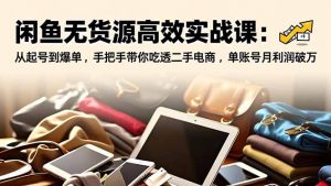 闲鱼无货源高效实战课：从起号到爆单，手把手带你吃透二手电商，单账号月利润破万-网创项目总站