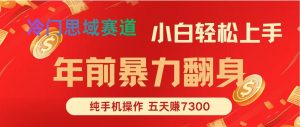 年前爆火项目，5天赚了7300-网创项目总站