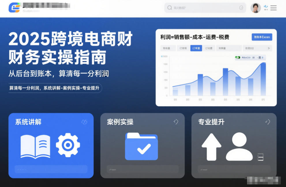 2025跨境电商财务实操指南，从后台到账本，算清每一分利润，系统讲解-案例实操-专业提升-网创项目总站