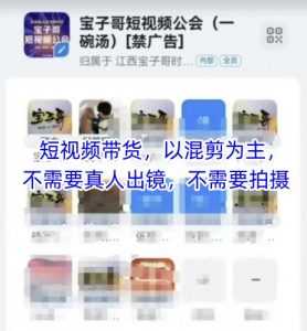 宝子哥头部团队短视频带货，以混剪为主，不需要真人出镜，不需要拍摄【更新11月】-网创项目总站