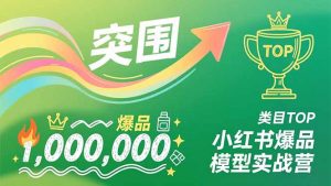小红书爆品模型实战营,从新品突围到成为类目TOP,可复制路径,打造多个营收百万级爆品-网创项目总站