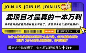 知识付费，你离月入10W只差一个开始！26年给自己一个机会，挖金子不如买铲子【揭秘】-网创项目总站