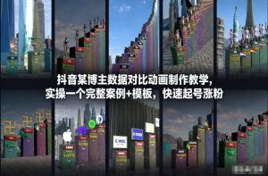 抖音某博主数据对比动画制作教学，实操完整案例+模板，快速起号涨粉-网创项目总站