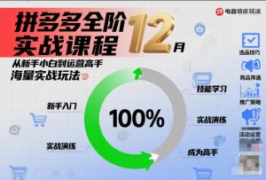 拼多多全阶实战课程12月，从新手小白到运营高手，海量实战玩法-网创项目总站