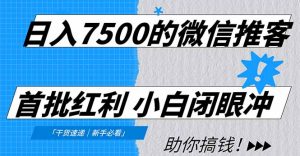 日入7500的微信推客，首批红利，自用省钱、分享赚钱，0门槛小白闭眼冲！-网创项目总站