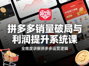 拼多多销量破局与利润提升系统课，全维度讲解拼多多运营逻辑-网创项目总站