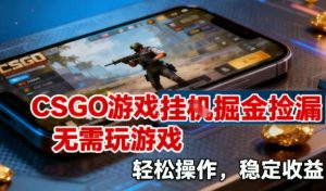 CSGO游戏挂G掘金捡漏，不需要玩游戏，操作简单，收益稳定【揭秘】-网创项目总站