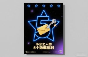 付费文章:小众之人的5个隐藏福利-网创项目总站