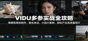 VIDU多参实战全攻略：海螺首尾帧制作，图生技法，小短片案例，轻松产出高质量短片-网创项目总站