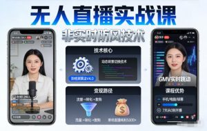 宝子哥无人直播实战课，非实时防风技术，聚焦抖音快手等平台直播带货，轻松开启直播变现之路(更新2026)-网创项目总站
