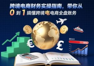 跨境电商财务实操指南，带你从0到1搞懂跨境电商全盘账务-网创项目总站