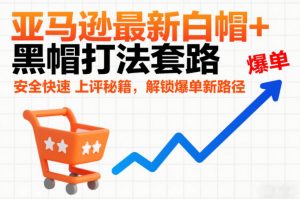 亚马逊最新白帽+黑帽打法套路，安全快速上评秘籍，解锁爆单新路径-网创项目总站