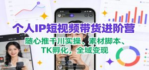 个人IP短视频带货进阶营：随心推千川实操、素材脚本、TK孵化，全域变现-网创项目总站