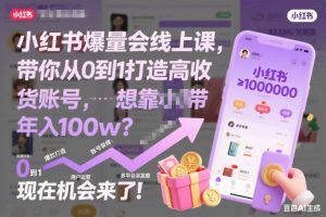小红书爆量会线上课，带你从0到1打造高收益带货账号，想靠小红书带货年入100w？现在机会来了！(更新)-网创项目总站