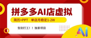 拼多多AI店，简历+PPT，单店月稳定1-2W，告别打工，独家项目！-网创项目总站