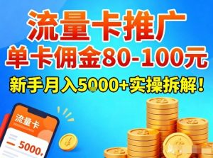 流量卡推广，单卡佣金80-100，新手月入5k+实操拆解！-网创项目总站