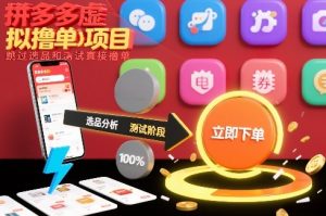 拼多多虚拟撸单项目，跳过选品和测试直接撸单-网创项目总站