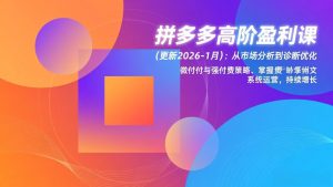 拼多多高阶盈利课(更新2026-1月-网创项目总站