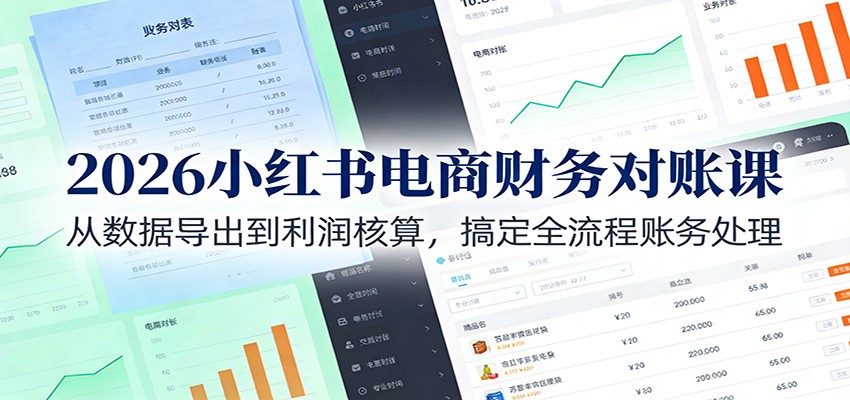 2026小红书电商财务对账课：从数据导出到利润核算，搞定全流程账务处理-网创项目总站