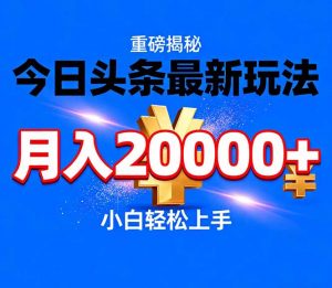 今日头条代运营最新玩法，轻轻松松月入20000＋-网创项目总站