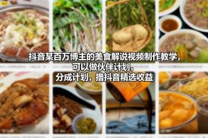 抖音某百万博主的美食解说视频制作教学，可以做伙伴计划，分成计划，撸抖音精选收益-网创项目总站