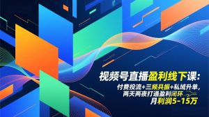 视频号直播盈利线下课：付费投流+三频共振+私域升单，两天两夜打通盈利闭环，月利润5-15万-网创项目总站