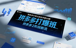 拼多多打爆班原创技术第54期，拼多多2阶段断流-网创项目总站
