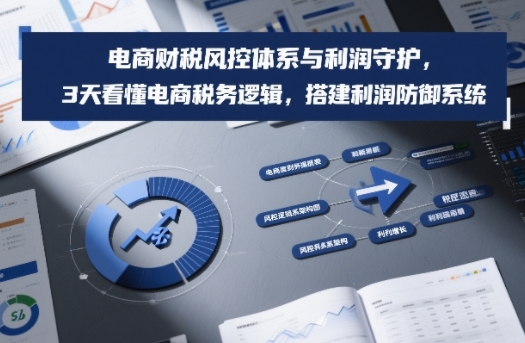 电商财税风控体系与利润守护，3天看懂电商税务逻辑，搭建利润防御系统-网创项目总站