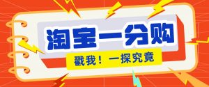 年底赚钱冲刺季，靠谱高单价项目，淘宝一分购一单13元，小白也能做！-网创项目总站